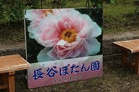 appi-stardust2016-06-07 appi-stardust2016-06-07