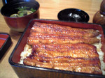 bunsho2006-08-18 bunsho2006-08-18