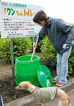 すんまそん… すんまそん…