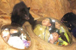 クマチラ クマチラ