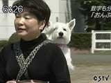 おんぶ犬 おんぶ犬