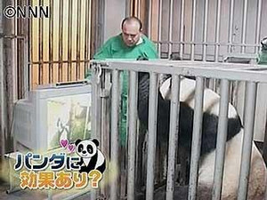 学習中 学習中