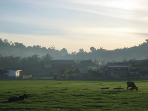 celebes2006-02-12 celebes2006-02-12