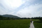 cellokoto2006-05-15 cellokoto2006-05-15