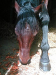 chibajutubu2005-02-15 chibajutubu2005-02-15