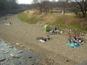 柳瀬川・金山橋付近2007.3.4 柳瀬川・金山橋付近2007.3.4