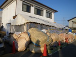 esasaki2013-02-16 esasaki2013-02-16