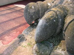怪獣の足(笑) 怪獣の足(笑)
