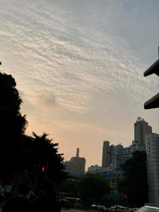 fookpaktsuen2018-08-24 fookpaktsuen2018-08-24