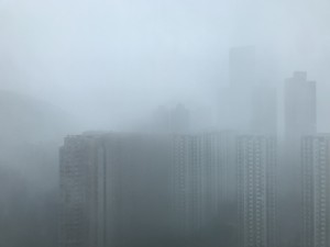 fookpaktsuen2018-09-16 fookpaktsuen2018-09-16