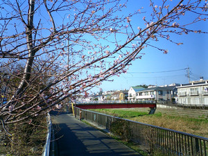 gekikame2004-12-28 gekikame2004-12-28
