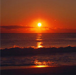 globalhead2005-01-01 globalhead2005-01-01
