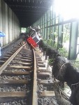 go2batayan2016-08-27 go2batayan2016-08-27