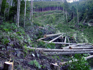 gushoukuuron2006-02-18 gushoukuuron2006-02-18
