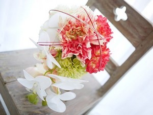 h_anemone2015-07-04 h_anemone2015-07-04