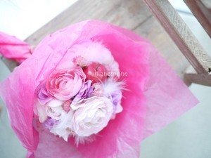 h_anemone2016-02-26 h_anemone2016-02-26