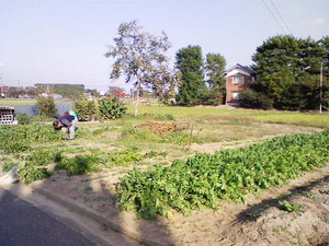 hakthakt2008-10-20 hakthakt2008-10-20