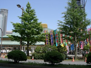 harimaya2007-05-28 harimaya2007-05-28