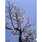 hee2008-02-11 hee2008-02-11