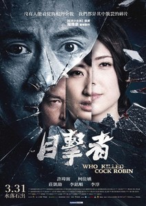 目撃者 闇の中の瞳 目撃者 闇の中の瞳