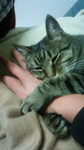 手抱きもみっこ 手抱きもみっこ