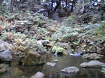 ikepyon2005-05-08 ikepyon2005-05-08