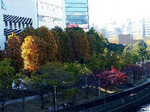 ikomanokaze2005-11-10 ikomanokaze2005-11-10