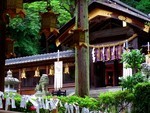 ikomanokaze2007-06-03 ikomanokaze2007-06-03