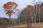 ikomanokaze2007-11-24 ikomanokaze2007-11-24