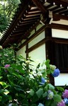 ikomanokaze2009-06-15 ikomanokaze2009-06-15
