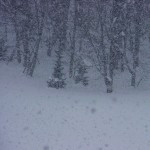 吹雪 吹雪