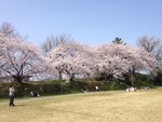 itohari20052013-04-01 itohari20052013-04-01