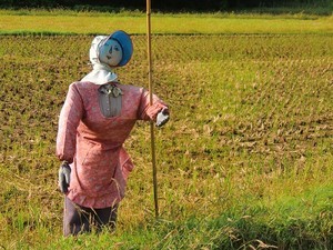 能登半島の案山子 能登半島の案山子