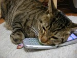 ミウ電話中 ミウ電話中