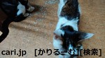 k1301232018-12-27 k1301232018-12-27