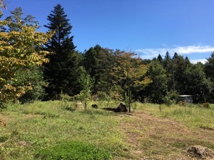 kamiyogadayori2018-10-04 kamiyogadayori2018-10-04
