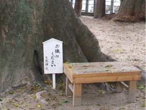 いす いす