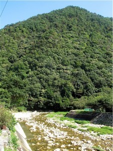 南原川下流 南原川下流