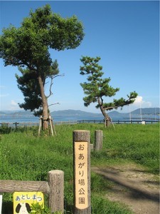 廿日市市阿品 廿日市市阿品