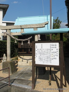 kanototori2012-02-18 kanototori2012-02-18