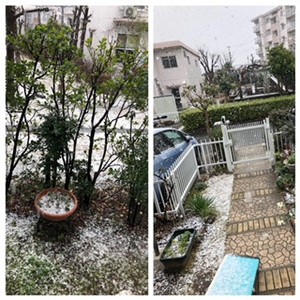 kardatmkkro2018-03-21 kardatmkkro2018-03-21