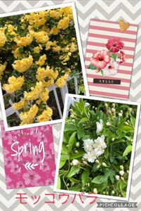 kardatmkkro2018-04-15 kardatmkkro2018-04-15