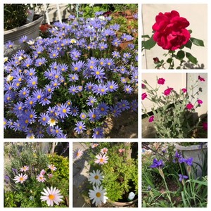 kardatmkkro2018-05-06 kardatmkkro2018-05-06