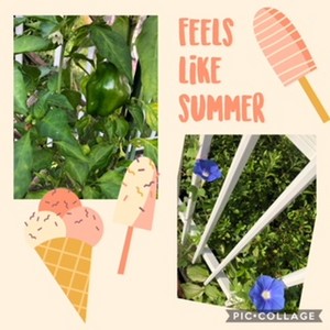 kardatmkkro2018-08-18 kardatmkkro2018-08-18
