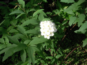 kazuto03282009-04-25 kazuto03282009-04-25