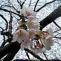 kei-zu2007-03-10 kei-zu2007-03-10