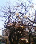 keuko2004-02-19 keuko2004-02-19