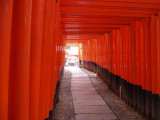 千本鳥居 千本鳥居