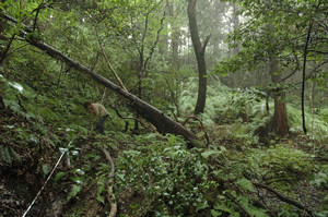 kheperer2006-07-21 kheperer2006-07-21