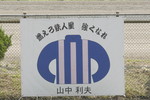 青に胴桃縦縞の「ガッツ」 青に胴桃縦縞の「ガッツ」
